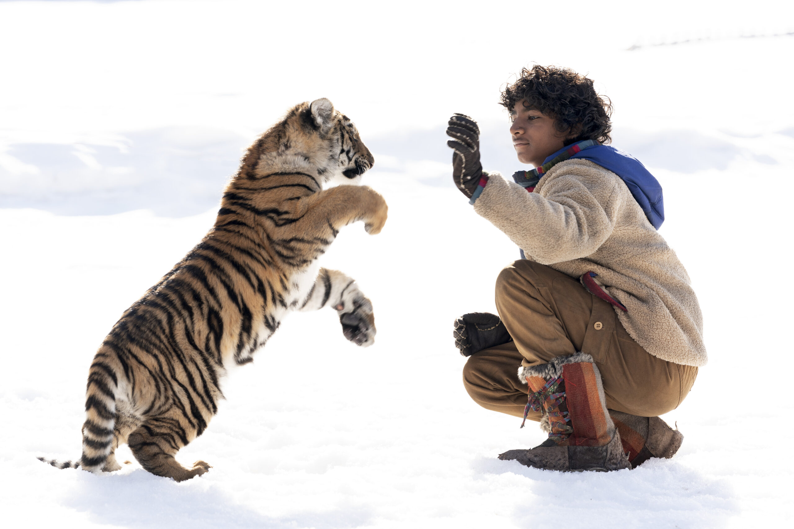 il ragazzo e la tigre protagonisti